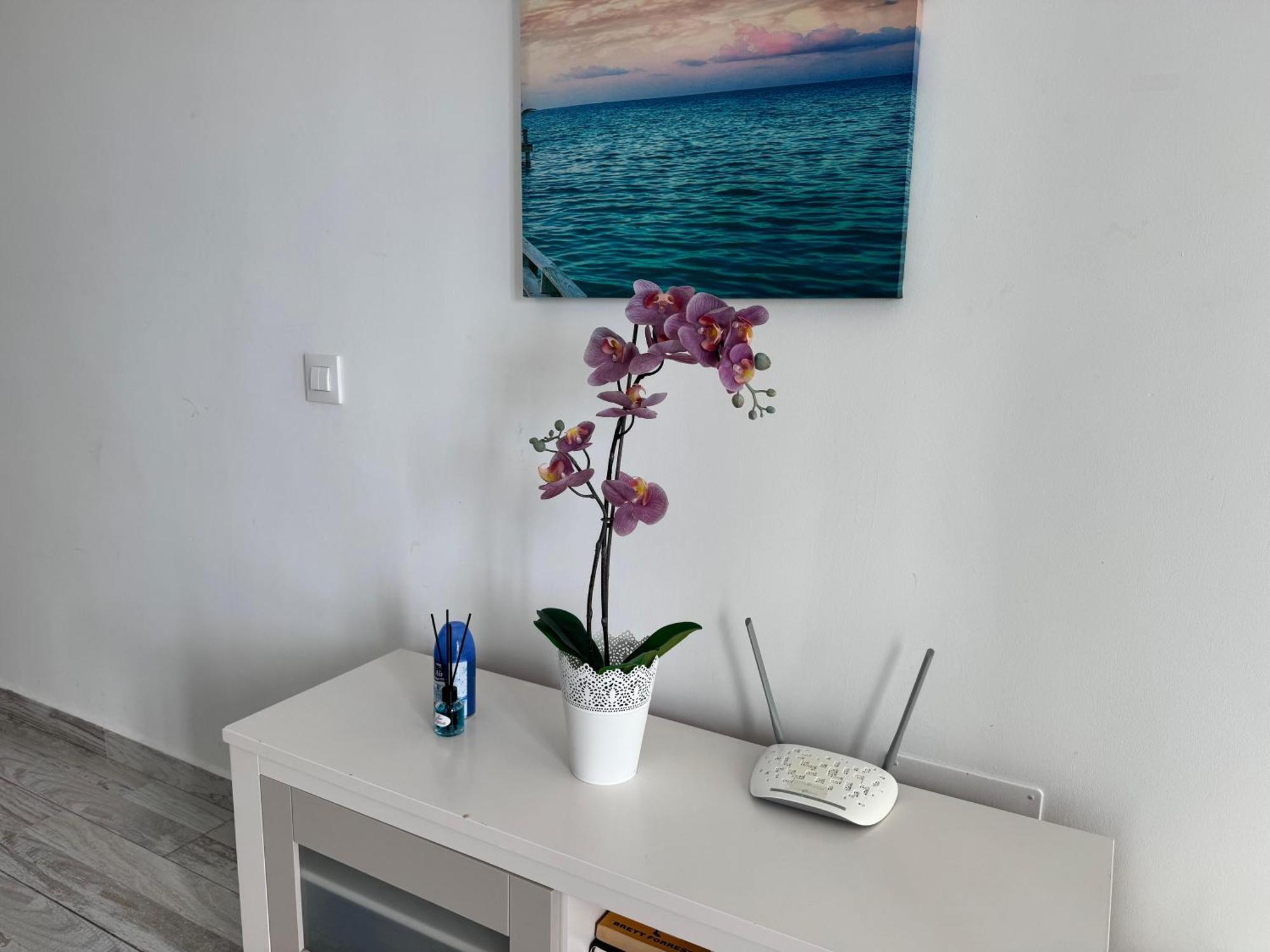 Stunning Apartments With Pool Tenerife Costa Adeje  Esterno foto