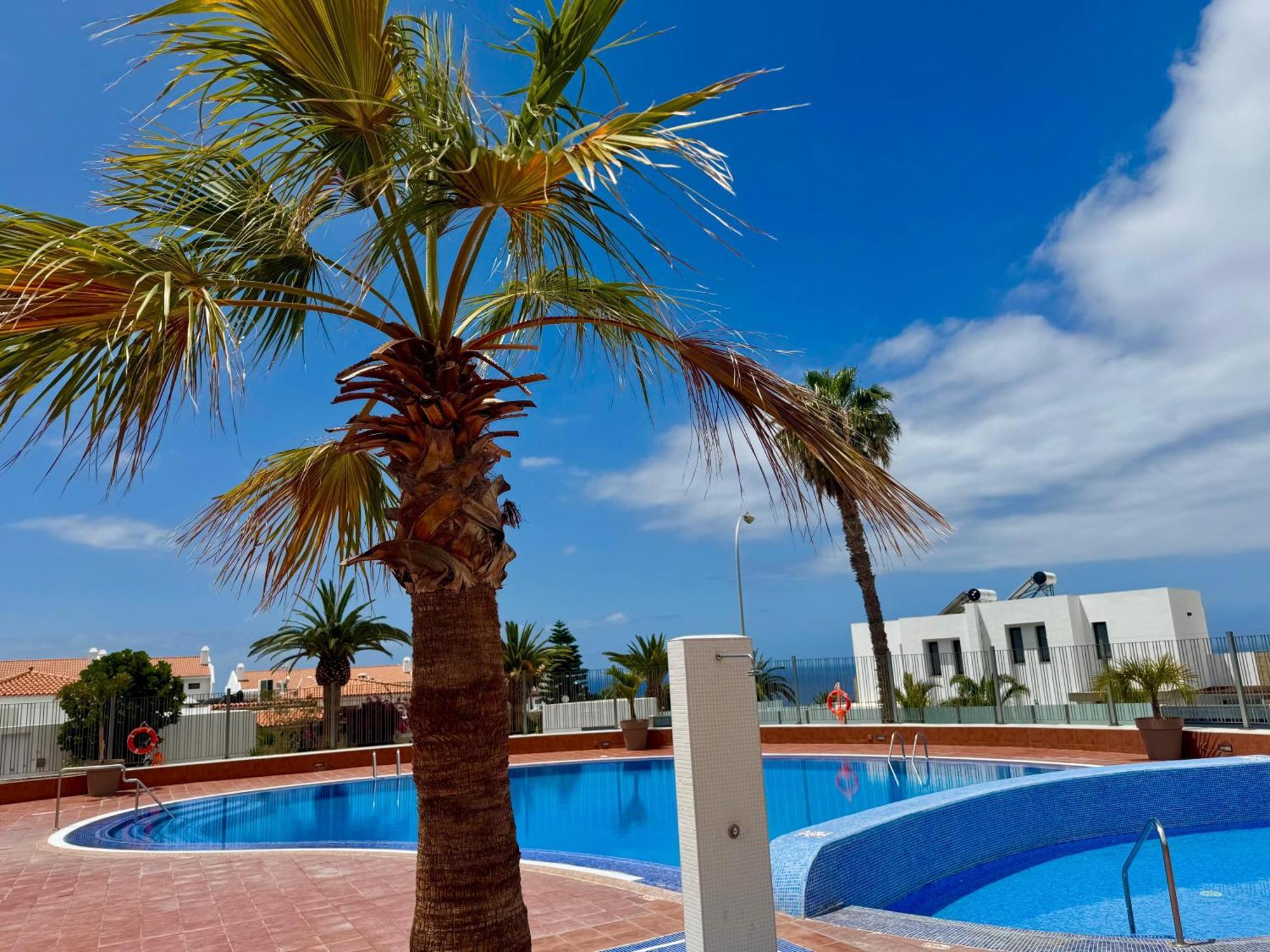 Stunning Apartments With Pool Tenerife Costa Adeje  Esterno foto